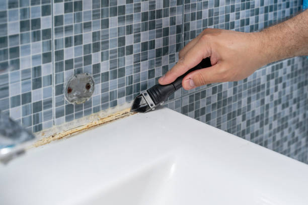 Best Emergency Mold Removal  in Round Lake, IL